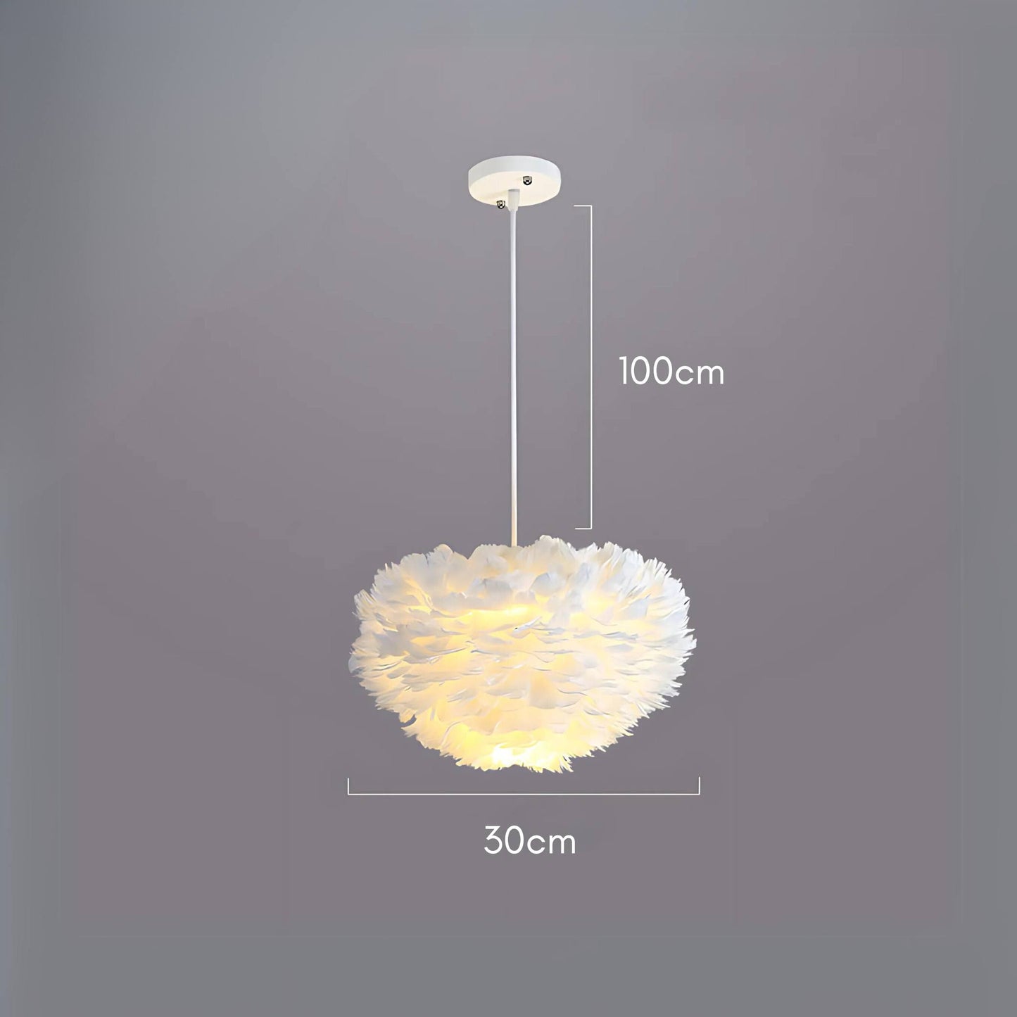 Modern Minimalist Feather Heart Chandelier