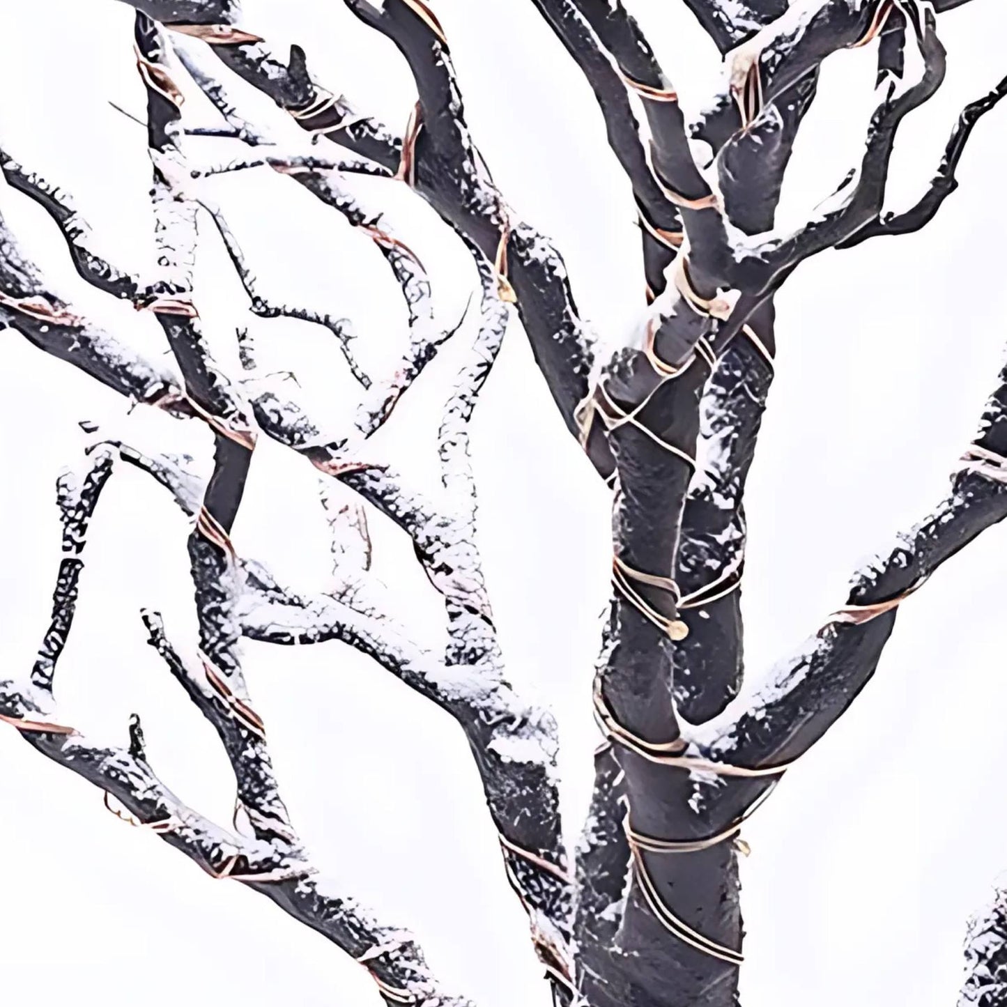 Winter Light Snow Covered Tree Branch Lamp