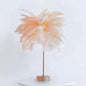 Feather Lamp Nordic Style Bedside Light