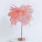 Feather Lamp Nordic Style Bedside Light